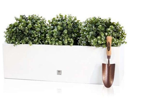 Garden outdoor flower - flower, pot