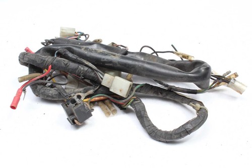 Wiring harness main - main,