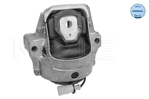 Meyle 100 199 1009 - 1009, engine
