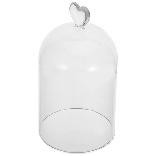 Glass dome decor - glass,