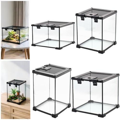 Clear glass reptile - clear, terrarium