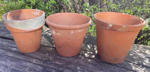 Vintage terracotta plant - vintage,
