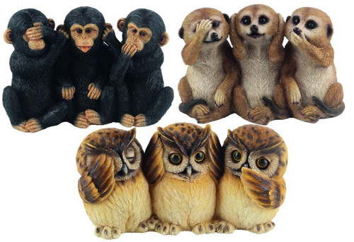 Wise meerkats chimpanzees or - 3,