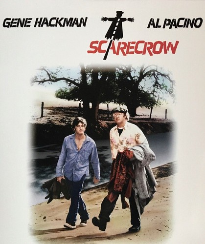 Scarecrow gene - scarecrow,