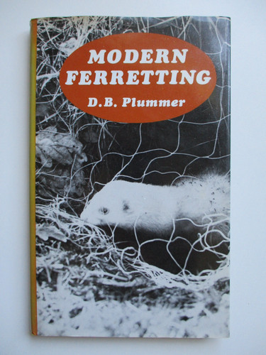 1977 1st modern - 1st,