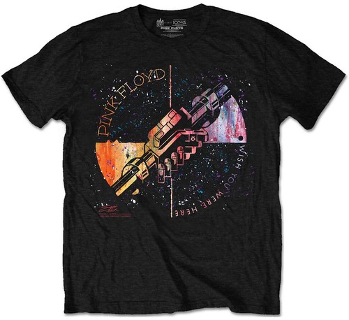 Pink floyd wish you - pink,