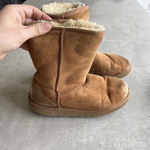 Uggs brown classic ankle boots - ankle,