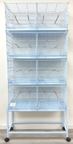 Large cambo bird finch - large,