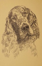 GORDON SETTER DOG ART PRINT #17 Stephen Kline will add dogs name free. HOT GIFT
