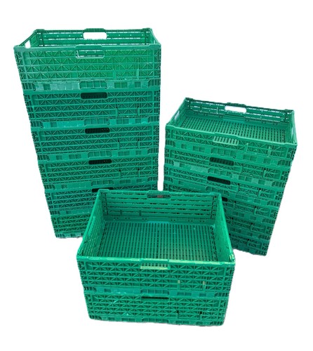 Collapsible plastic - 10, x