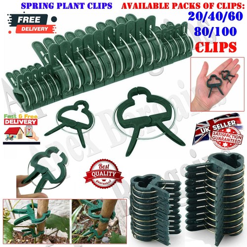 100x reusable plant - reusable,