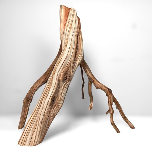 Manzanita driftwood - manzanita,