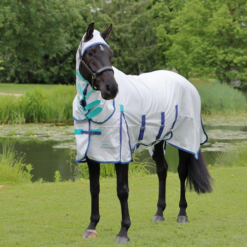 Shires highlander plus - highlander,