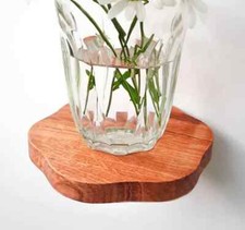 Wavy Shelves Danish Pastel