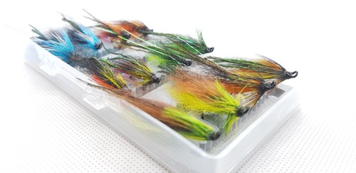 X12 arctic fox salmon - x12,