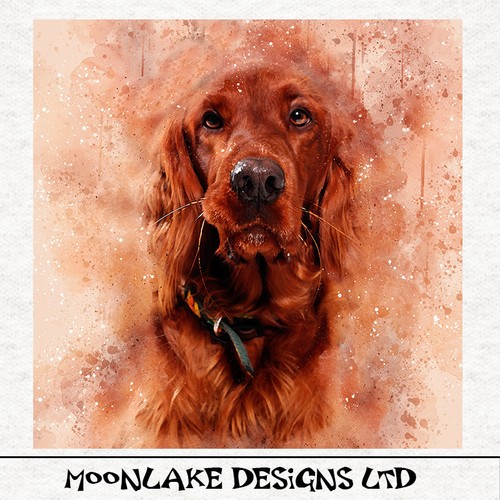 Dog red setter watercolour - dog-red,