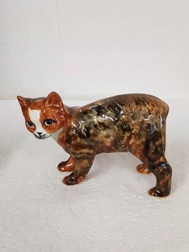 Vintage calico manx cat studio - manx,