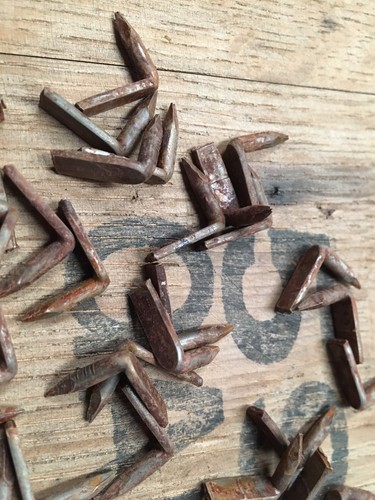 Hoop nails galvanized - hoop,