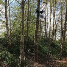 Adjustable Highseat Hunting