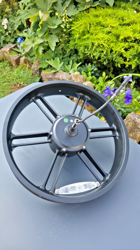Fiido rear hub motor - 20",
