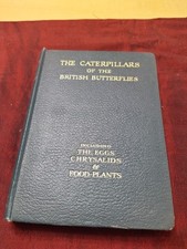 THE CATERPILLARS OF THE