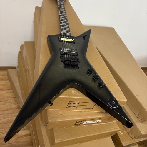 Dimebag washburn electric - dimebag,