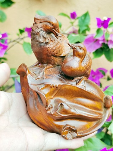 By238 x 12 - x, boxwood