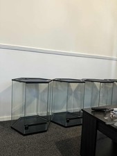 Reptile and amphibian