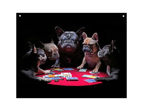 Dog playing poker metal - dog,