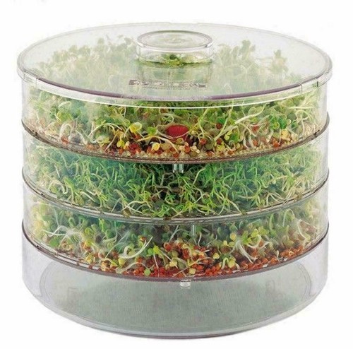 Sprouter healthy seeds - sprouter,