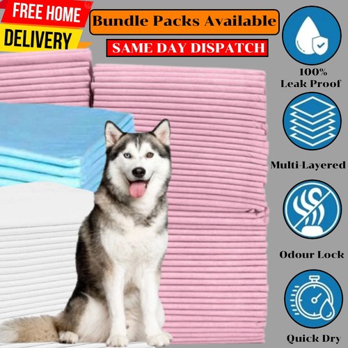 Large dog pads puppy - large,