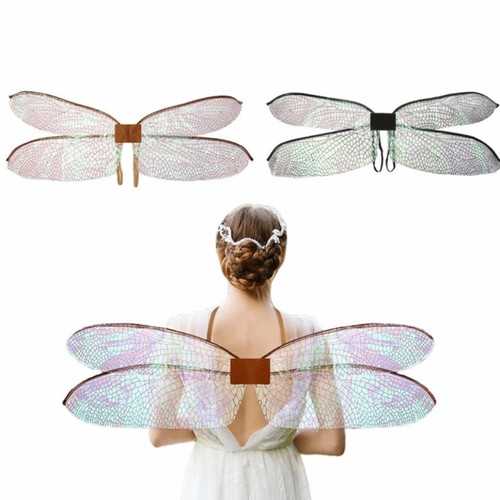 Colorful dragonfly butterfly - colorful,