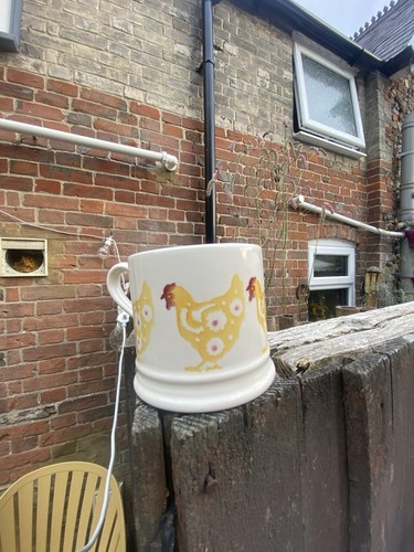 Delightful emma bridgewater - delightful,