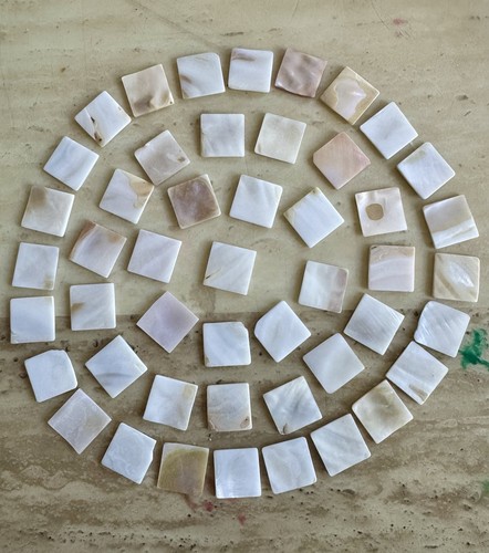 Pearly shell mosaic tiles - ,