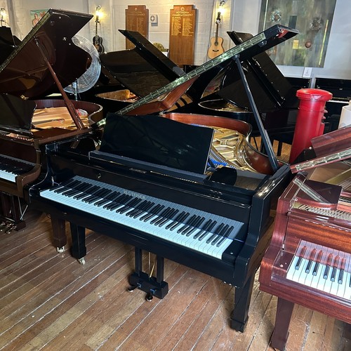 Bluthner model grand piano - bluthner,