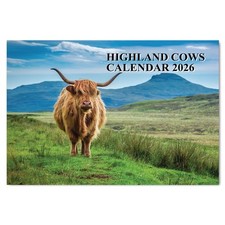 Highland Cows Calendar 2026 A4