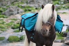Pony Pack Saddle