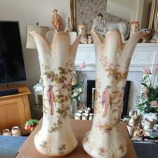 Crown Ducal  Blush Birds of