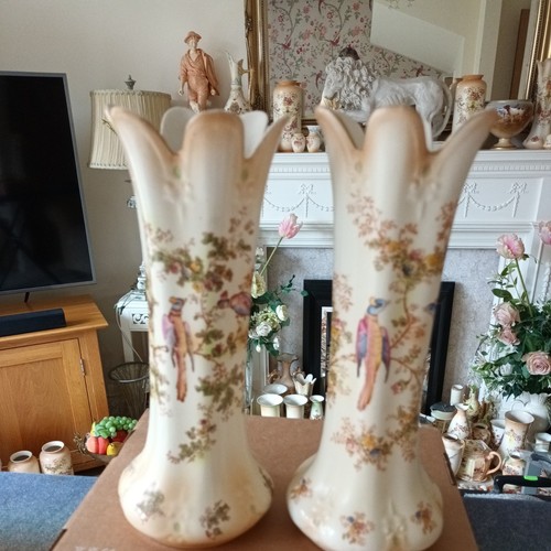 Crown ducal blush - , birds