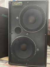 Bergantino AE212 Bass Cab