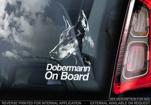 Dobermann dog car window - -,