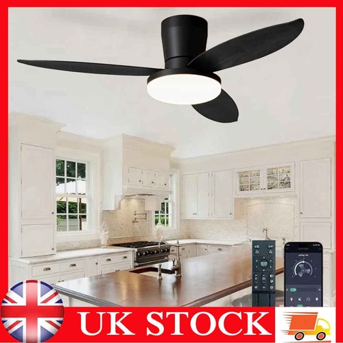 Led ceiling fans with - fans,
