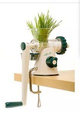 Lexen Healthy Wheatgrass