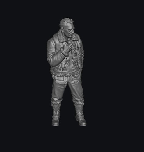 Smf1154 ww2 raf pilot - raf,