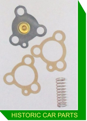 Diaphragm kit for - diaphragm, zenith