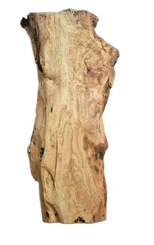 Large ash burr waney edge - waney, slab