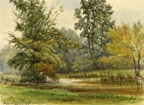 Lugg meadows herefordshire - lugg,