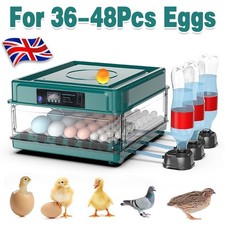 Incubators for Hatching Eggs