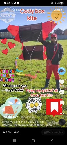 Spirit air cody box kite - spirit,