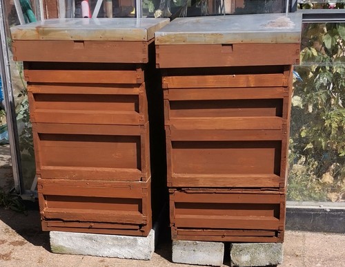 National bee hives - x,
